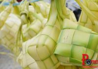 TERUNGKAP ! Ini Fakta Tersembunyi di Balik Lebaran dan Ketupat Indonesia