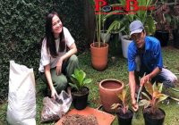 Hari-harinya Ersa Mayori, Akrab Banget Sama Tukang Kebun