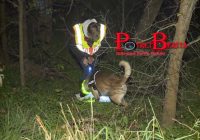 Polisi Jerman Tangkap Pria yang Diduga Pelaku Kanibalisme