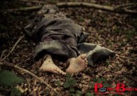 Suami Tega Bunuh dan Bakar Istri di Tengah Hutan, Diganjar Penjara 25 Tahun