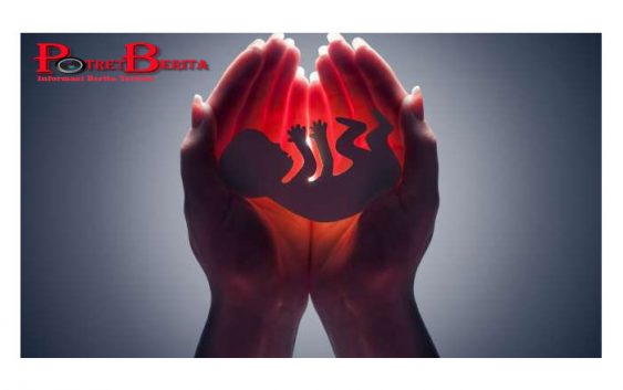 Argentina Akhirnya Memilihkan untuk Mengesahkan RUU yang Melegalkan Aborsi