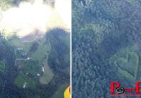 Cara Romantis Suami Ungkapkan Cinta Pada Istri Lewat Pohon Jadi Viral