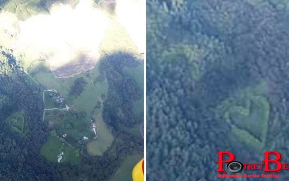 Cara Romantis Suami Ungkapkan Cinta Pada Istri Lewat Pohon Jadi Viral