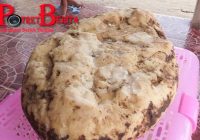 Wanita Ini Temukan Muntahan Paus Saat Jalan di Pantai, Berpotensi Kaya Mendadak