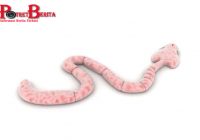 Ngeri, Pria Ini Keluarkan Cacing Pita Sepanjang 18 Meter dari Perut