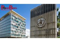 Temuan Baru WHO, Corona Diduga Ditularkan ke Manusia Bukan dari Kelelawar