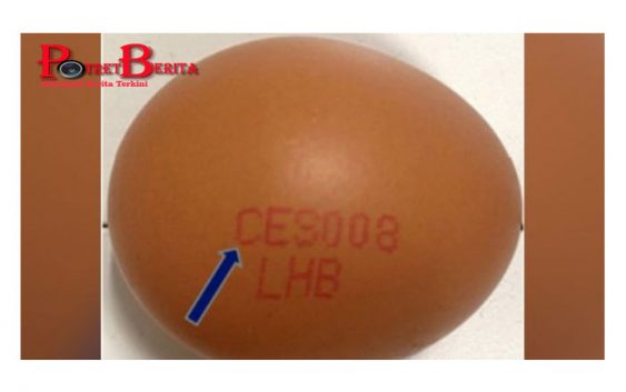 Terdeteksi Bakteri Salmonella, Singapura Tarik Kembali Telur dari Malaysia