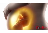 Permintaan Tinggi, Plasenta Manusia Masih Dijual Diam-diam di China