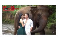 Vicky Prasetyo: Repot Jadi Suami Kalina Oktarani