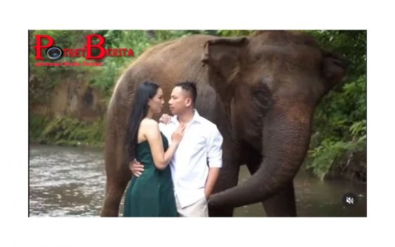 Vicky Prasetyo: Repot Jadi Suami Kalina Oktarani