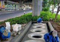 Cegah Jakarta Banjir, Pemprov Klaim Bangun 72 Ribu Sumur Resapan