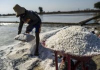 Pejabat Kemenko Perekonomian Akan Diperiksa Lagi Terkait Kasus Impor Garam