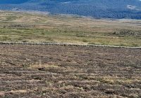 6 Orang Meninggal Karena Cuaca Dingin Ekstrem di Papua Tengah