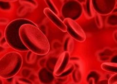 Mengenal Gejala Kelainan Darah Hemofilia