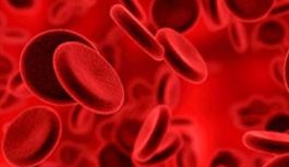 Mengenal Gejala Kelainan Darah Hemofilia