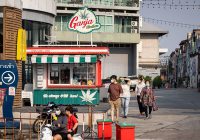 Thailand Akan Kembali Larang Penggunaan Ganja