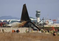 Sebelum Jeju Air Kecelakaan, Menara Pengawas Sudah Peringatkan Bird Strike