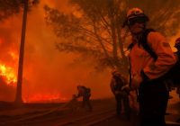 Los Angeles Tetapkan Status Darurat, Imbas Kebakaran Hutan yang Makin Parah